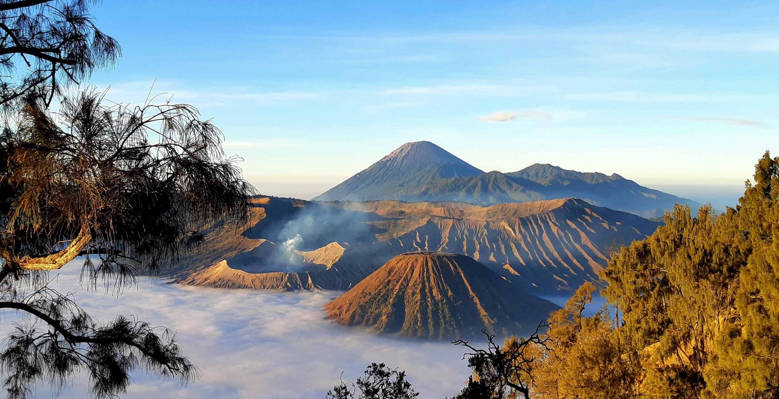 The Charm of A Tourist Spot on Mount Bromo Referensi