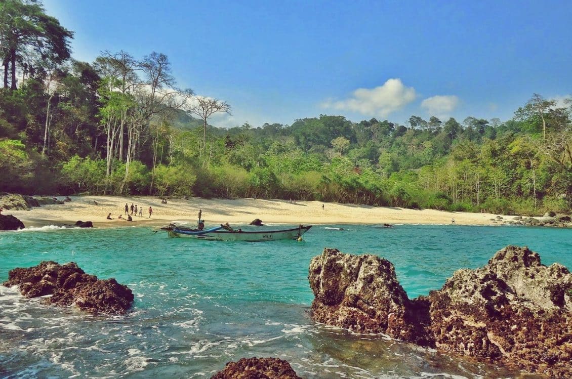 Referensi dan Rekomendasi Tempat Wisata di Indonesia: Taman Meru Betiri